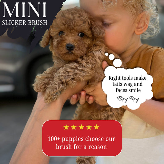 Bixy Pixy Mini Brush for Dogs and Cats with Long and Fluffy Fur - Coated Tips Massages Delicate Skin