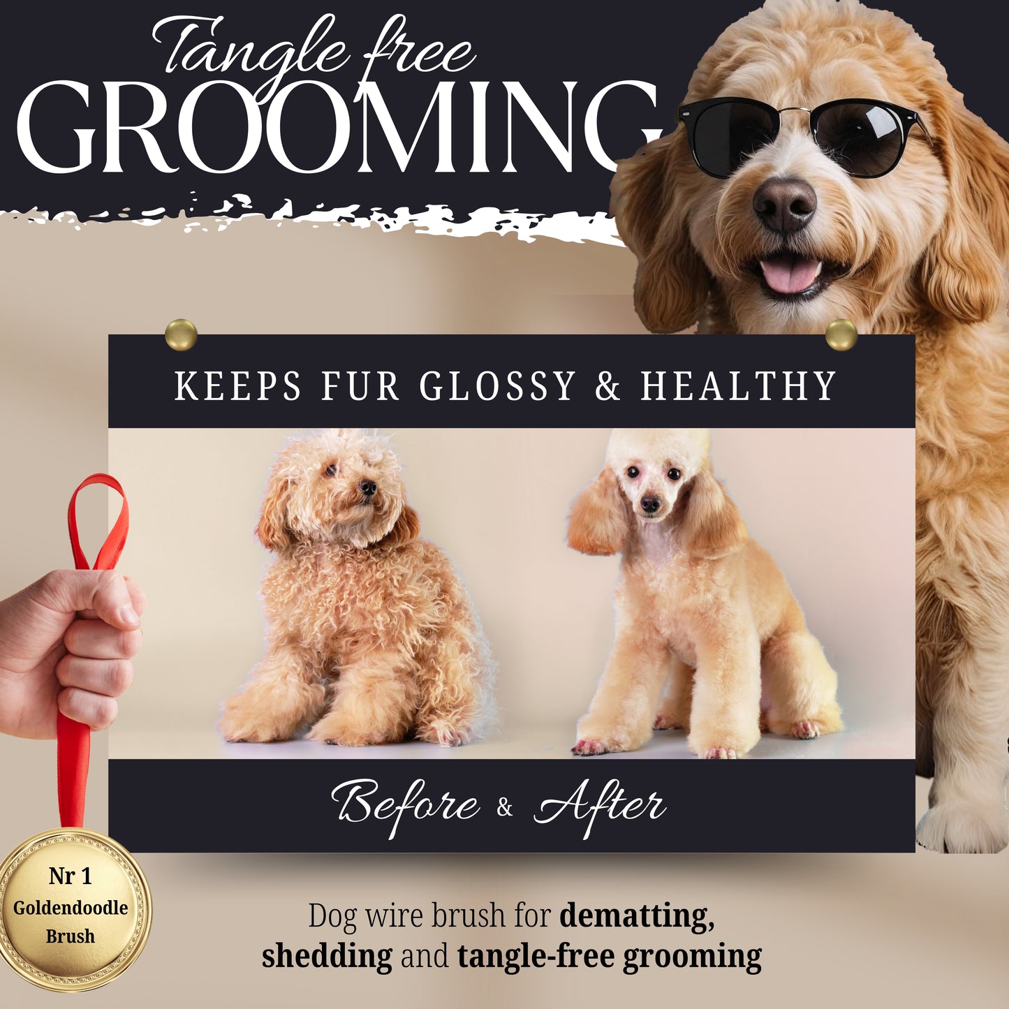 Bixy Pixy Dog Slicker Brush (Large) - Ball Tipped Pins Massages Pet Skin (Used for Goldendoodle, Golden Retriever, Poodle and others)